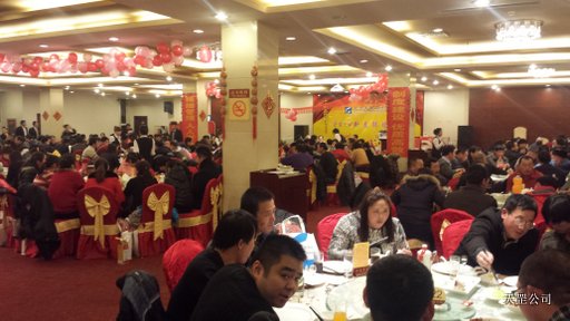 天罡公司2014年新春聯(lián)歡會在北京國開會議中心舉行