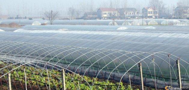 紫外線吸收劑uv531產(chǎn)品說明書 紫外線吸收劑uv531產(chǎn)品說明書